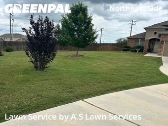 Grass Cutting nearby Schertz, TX, 