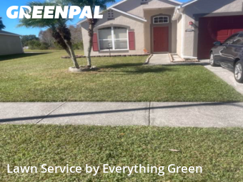 Grass Cut nearby Orlando, FL, 