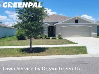 Grass Cut nearby Riverview, FL, 