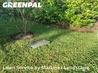 Yard Mowing in Horizon West, 34786, Landscaping Maintenance by Martinez Landscape, work completed in Dec , 2025