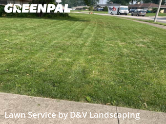 Lawn Care nearby Joliet, IL, 