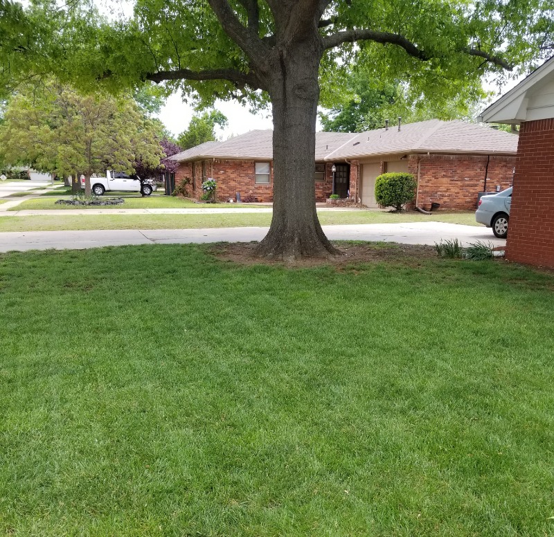 Yard mowing company in Oklahoma City, OK, 73162