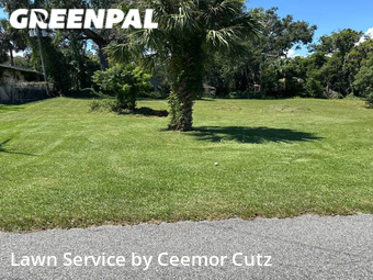 Yard Mowing nearby Daytona Beach, FL, 