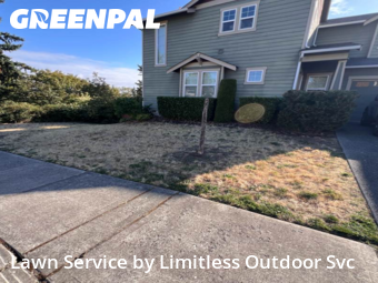 Landscaping Maintenance in Seattle, 98178, Backyard Mowing by Limitless Outdoor Svc, work completed in Nov , 2025