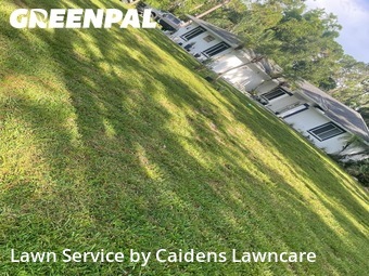 Lawn mowed in West Palm Beach, 33412