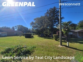 Grass Cuttingin Jacksonville,32244,Yard Mowing by Teal City Landscape , work completed in Nov , 2025