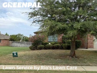 Lawn Cutting nearby Fort Worth, TX, 