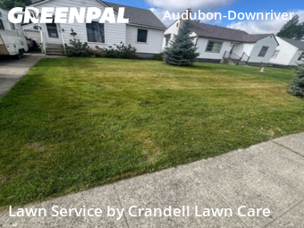 Grass Cut nearby Spokane, WA, 