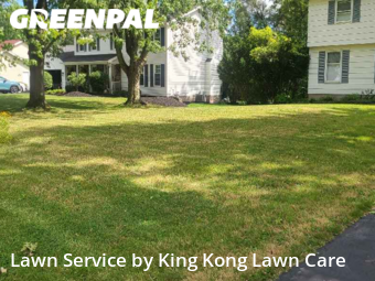 Grass Cut nearby Rochester, NY, 