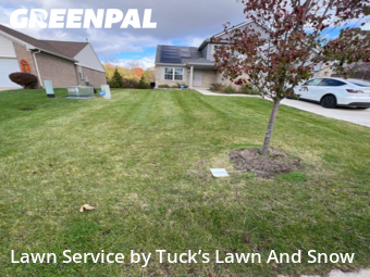 Front Yard Mowing in Belleville, 48111, Grass Cutting by Tuck’s Lawn And Snow, work completed in Nov , 2025