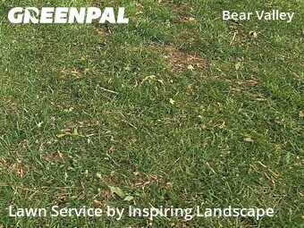 Backyard Landscaping In Denver,80235,Landscaping Cleanup by Inspiring Landscape, work completed in Jun , 2026