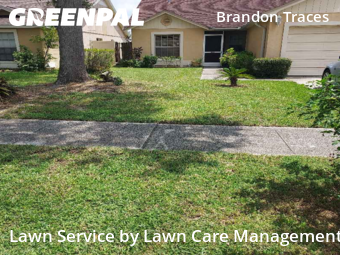 Lawn Maintenance nearby Brandon, FL, 