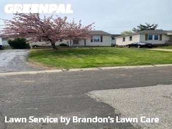 Lawn Care nearby Affton, MO, 