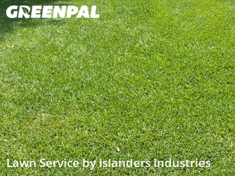 Yard Cutting nearby Prairieville, LA, 