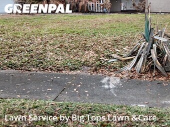 Yard Mowing nearby Longwood, FL, 