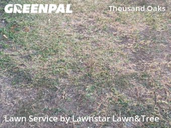 Yard Cutting nearby San Antonio, TX, 