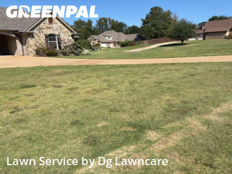 Grass Care in Longview, 75605, Yard Mowing by Dg Lawncare, work completed in Nov , 2025