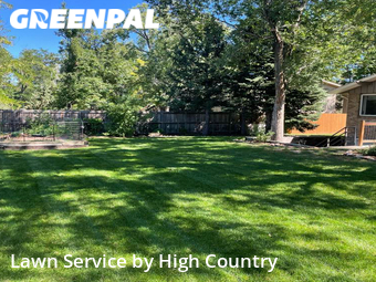 Grass Cut nearby Boulder, CO, 