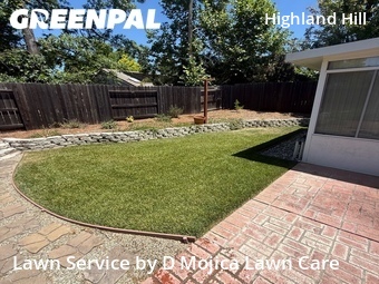Yard Cutting nearby Sacramento, CA, 