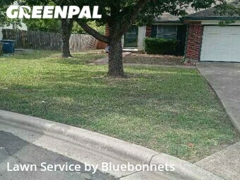 Lawn Service nearby Austin, TX, 