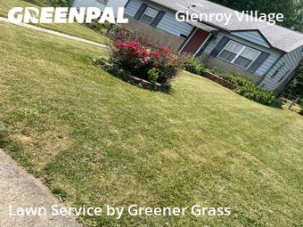 Yard Cutting nearby Indianapolis, IN, 