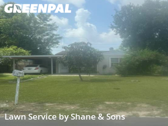 Lawn Mowing nearby St. Petersburg, FL, 