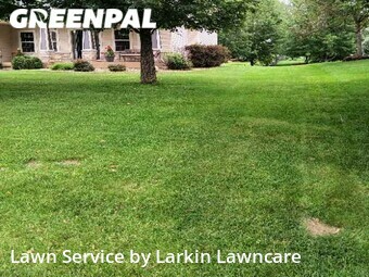 Lawn Care nearby Minneapolis, MN, 