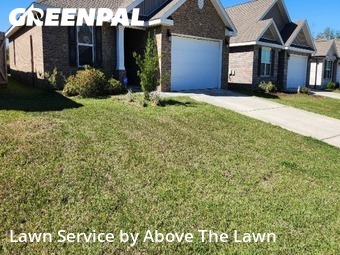 Lawn Management in Bellview, 32526, Lawn Work by Above The Lawn, work completed in Nov , 2025