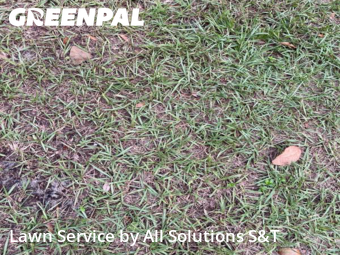 Mowing Services in Poinciana, 34759, Yard Services by All Solutions S&T , work completed in Dec , 2025