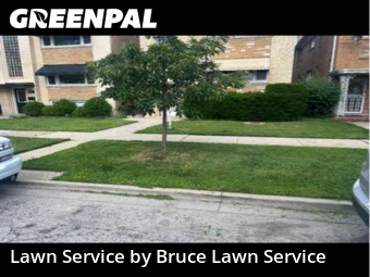 Lawn Maintenance in Berwyn, 60402, Grass Care by Bruce Lawn Service, work completed in Aug , 2025
