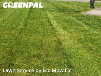 Grass Cut nearby Indianapolis, IN, 