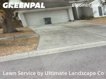 Yard Upkeep in Bloomingdale, 33596, Yard Grooming by Ultimate Landscape Co, work completed in Nov , 2025