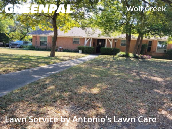 Yard Cuttingin Dallas,75232,Yard Cutting by Antonio's Lawn Care, work completed in Nov , 2025