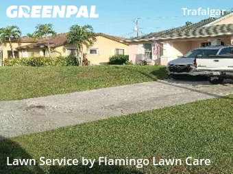 Yard Maintenance in Cape Coral, 33991, Lawn Work by Flamingo Lawn Care, work completed in Nov , 2025