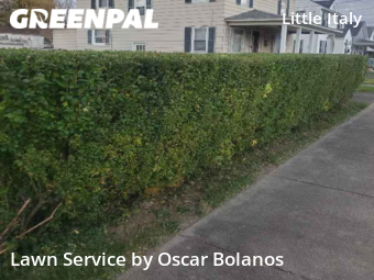 Lawn Mowing Service nearby Endicott, NY, 