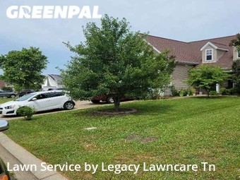 Lawn Mowing Service nearby Murfreesboro, TN, 