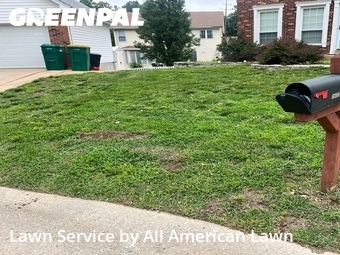 Lawn Cutting nearby St. Louis, MO, 