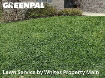 Lawn Mowing Service nearby Tennessee, TN, 