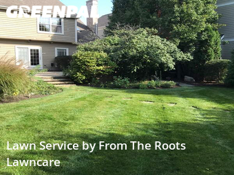 Grass Cut nearby Elmhurst, IL, 