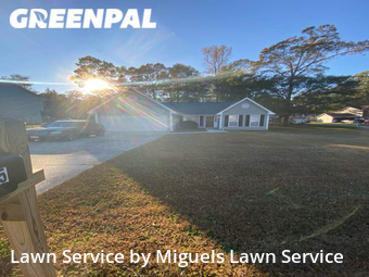 Lawn Mow nearby College Park, GA, 