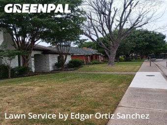 Grass Cut nearby Dallas, TX, 