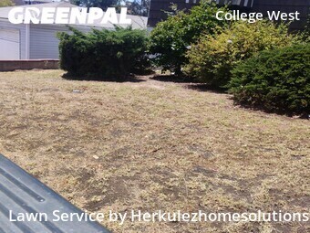 Lawn Maintenance nearby San Diego, CA, 