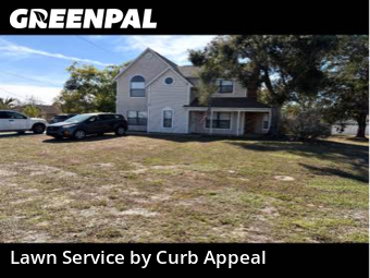 Yard Cutting in Spring Hill, 34609, Yard Grooming by Curb Appeal , work completed in Dec , 2025