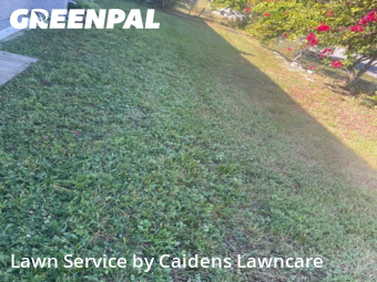 Yard Cutting nearby Sunrise, FL, 