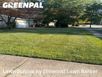 Lawn Service nearby Avon Lake, OH, 