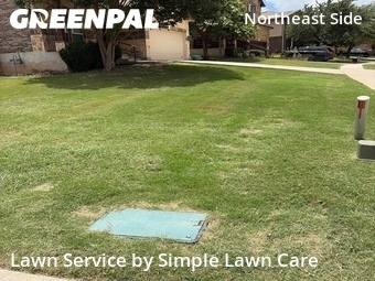 Lawn Care nearby Live Oak, TX, 