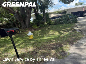 Lawn Mowin Oldsmar,34677,Lawn Mowing Service by Three Vs , work completed in Dec , 2025
