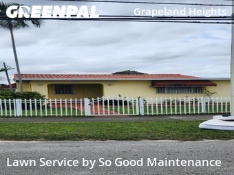 Grass Cut nearby Miami, FL, 