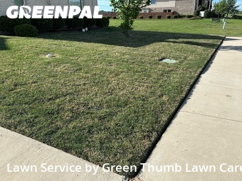 Lawn Mow nearby Glenn Heights, TX, 