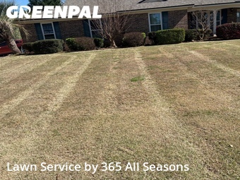 Lawn Cut nearby Evans, GA, 